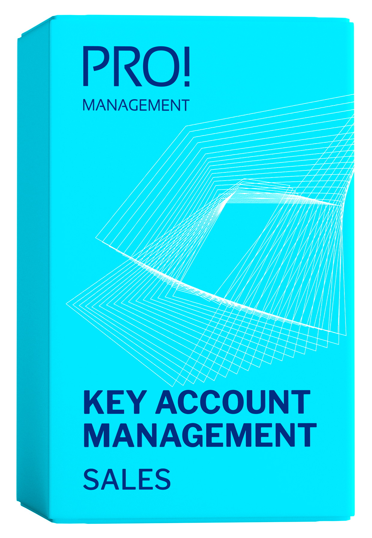 Key Account Management Pro Management AG