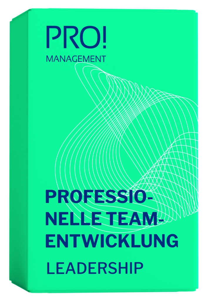 Pro Management AG Training professionelle teamentwicklung Leadership