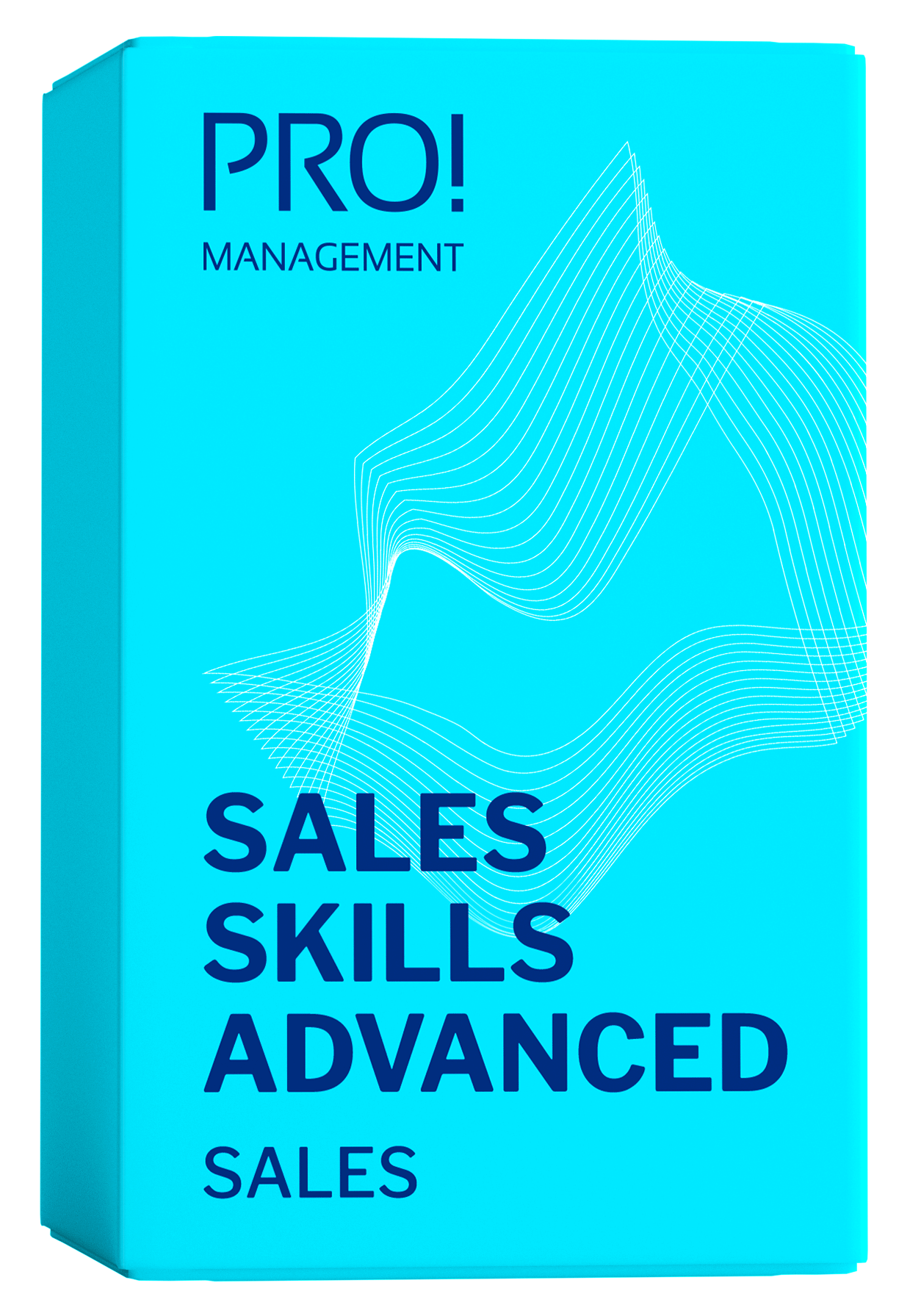 Sales Skills Advanced " Pro Management AG