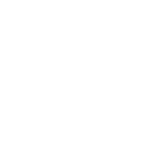 Pro Management AG » Siegel Beratungsnetzwerk weiss